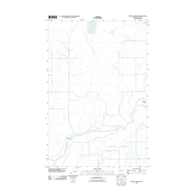 2011 Map of Buffalo Bridge, 2011 Print