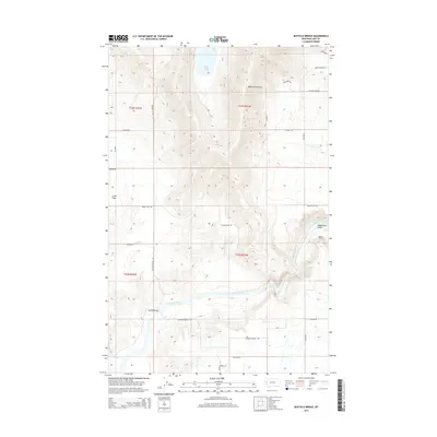 2014 Map of Buffalo Bridge, 2014 Print