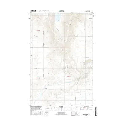 2017 Map of Buffalo Bridge, 2017 Print