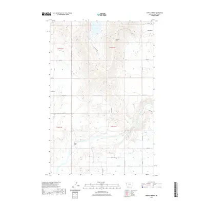 2020 Map of Buffalo Bridge, 2020 Print