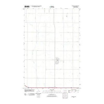 2011 Map of Buffalo, 2011 Print