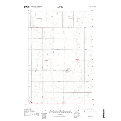 2020 Map of Buffalo, 2020 Print