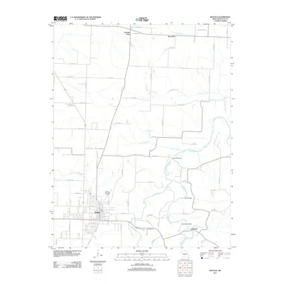 2011 Map of Buffalo, 2011 Print