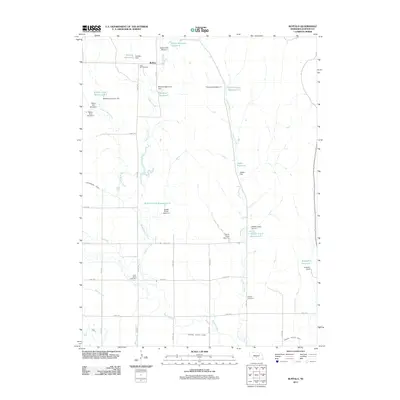 2011 Map of Buffalo, 2011 Print