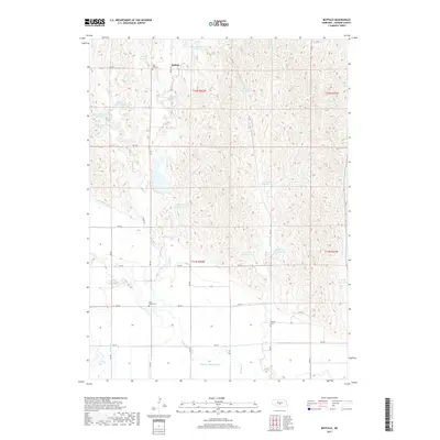 2017 Map of Buffalo, 2017 Print