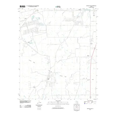 2010 Map of Buffalo Gap, 2010 Print