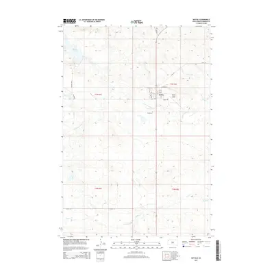 2015 Map of Buffalo, 2015 Print