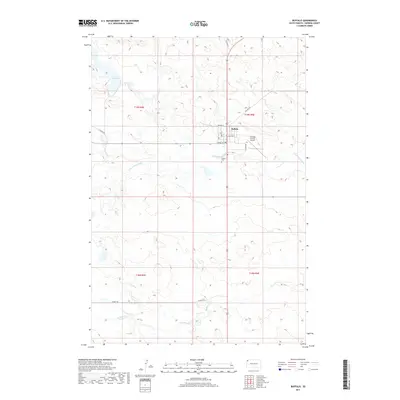2017 Map of Buffalo, 2017 Print