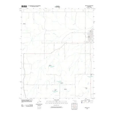 2010 Map of Buffalo, 2010 Print