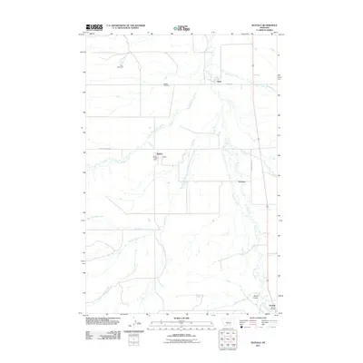 2011 Map of Buffalo, 2011 Print