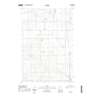 2020 Map of Buffalo, 2020 Print