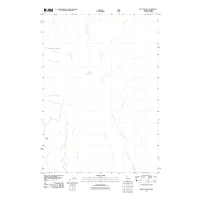 2011 Map of Buffalo Lake, 2011 Print