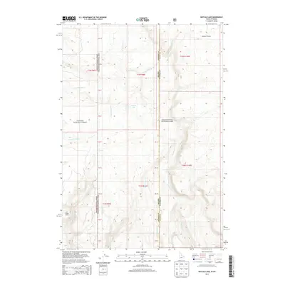 2013 Map of Buffalo Lake, 2013 Print