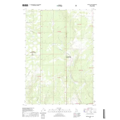 2020 Map of Buffalo Lake, 2020 Print