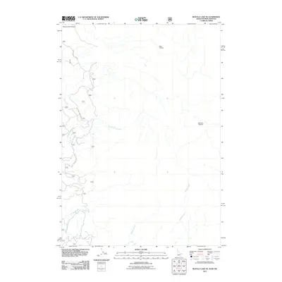 2011 Map of Buffalo Lake NE, 2011 Print