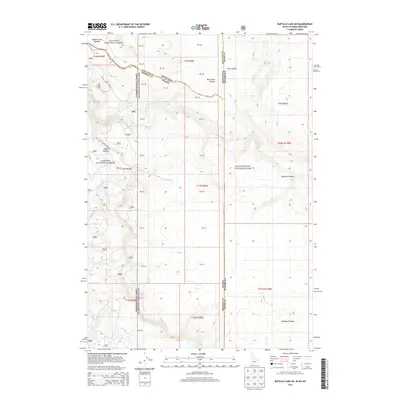 2013 Map of Buffalo Lake NE, 2013 Print