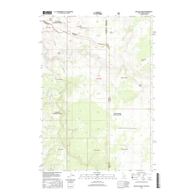 2017 Map of Buffalo Lake NE, 2017 Print