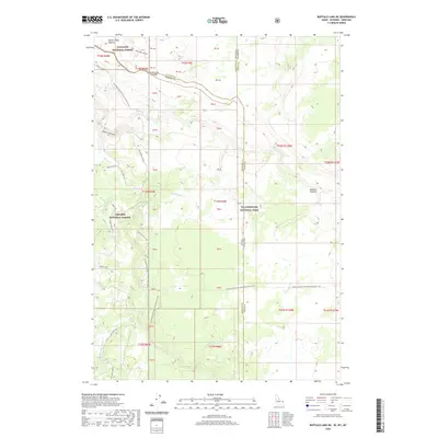 2020 Map of Buffalo Lake NE, 2020 Print