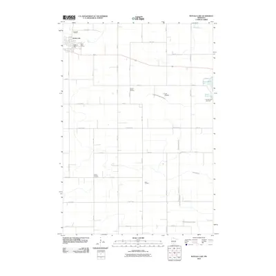 2010 Map of Buffalo Lake, 2010 Print