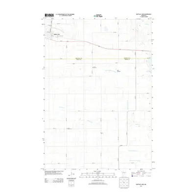 2013 Map of Buffalo Lake, 2013 Print