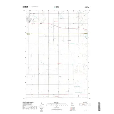 2019 Map of Buffalo Lake, 2019 Print