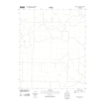 2010 Map of Buffalo Lake SW, 2010 Print