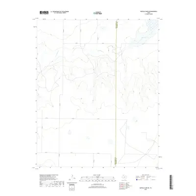 2019 Map of Buffalo Lake SW, 2019 Print