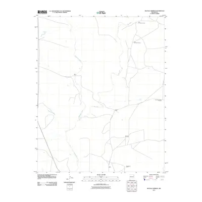 2010 Map of Buffalo Springs, 2010 Print