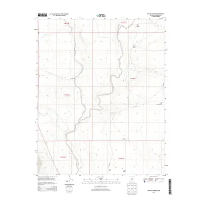 2013 Map of Buffalo Springs, 2013 Print