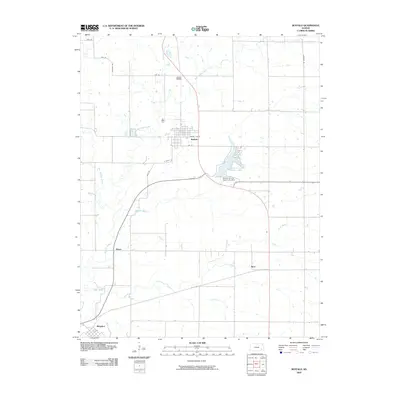 2009 Map of Buffalo, 2009 Print