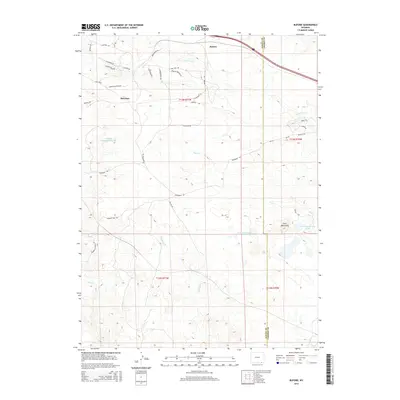 2015 Map of Buford, 2015 Print