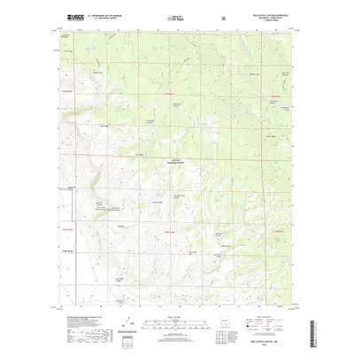 2020 Map of Bug Scuffle Canyon, 2020 Print