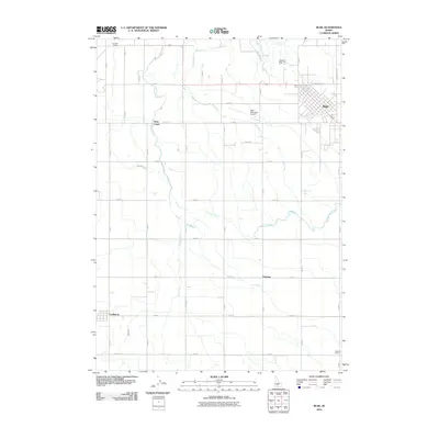 2010 Map of Buhl, 2010 Print