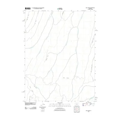 2010 Map of Bull Fork, 2010 Print