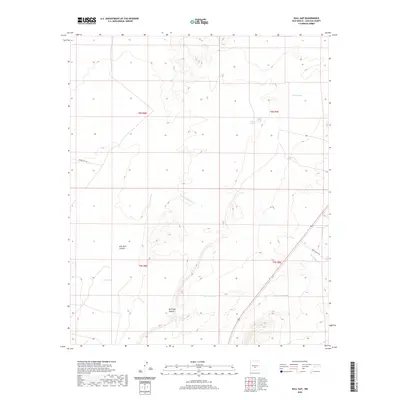 2020 Map of Bull Gap, 2020 Print