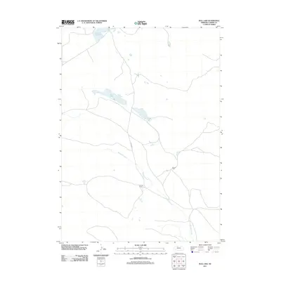 2011 Map of Bull Lake, 2011 Print