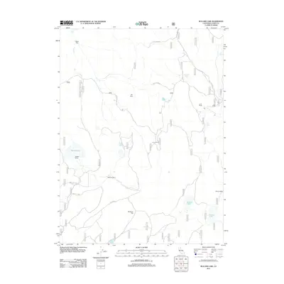 2012 Map of Bullard Lake, 2012 Print