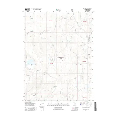 2015 Map of Bullard Lake, 2015 Print
