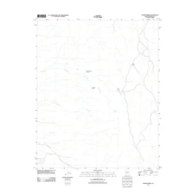 2011 Map of Burns Spring, 2011 Print