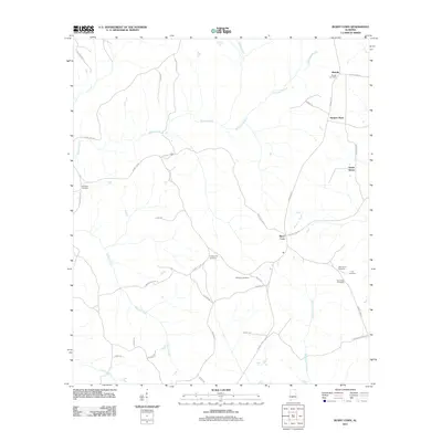 2011 Map of Burnt Corn, 2011 Print