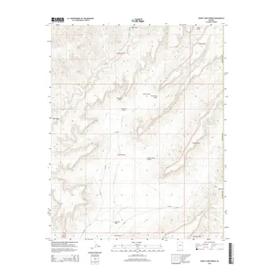 2014 Map of Burnt Corn Spring, 2014 Print