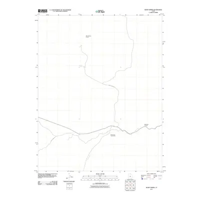 2011 Map of Burnt Spring, 2011 Print