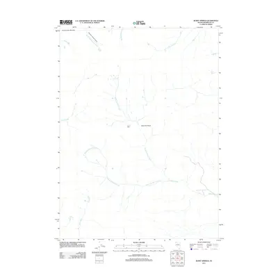 2011 Map of Burnt Springs, 2011 Print