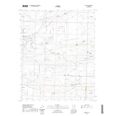 2020 Map of Burnville, 2020 Print