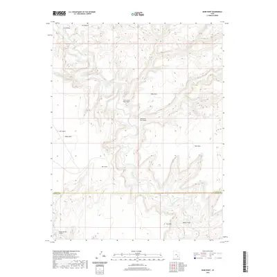 2020 Map of Burr Point, 2020 Print
