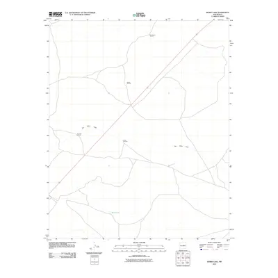 2010 Map of Burro Lake, 2010 Print