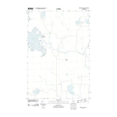 2010 Map of Burrows Lake, 2010 Print
