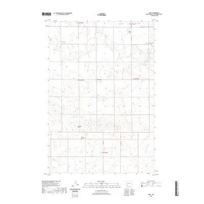 2020 Map of Burt, 2020 Print