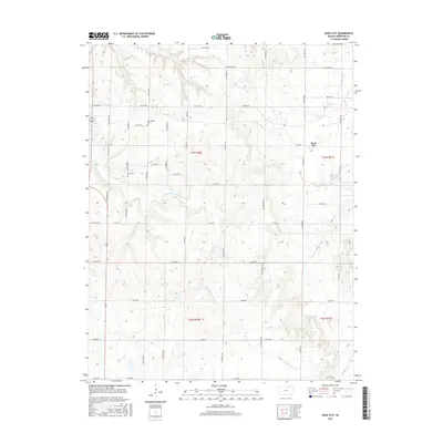 2015 Map of Bush City, 2015 Print