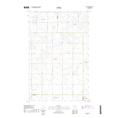 2017 Map of Bush Lake, 2017 Print